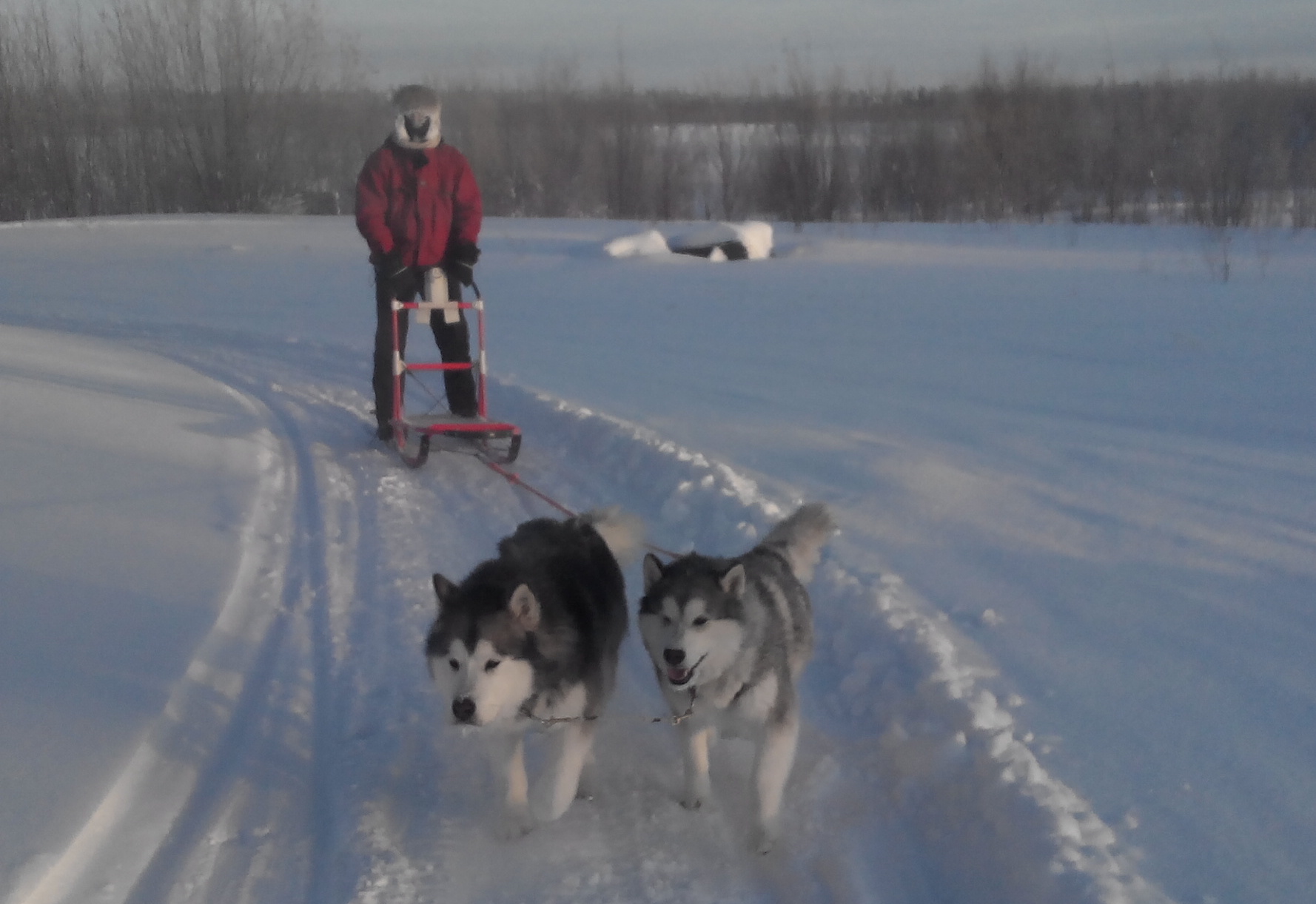 Featured Couchsurfer Syril from Bern, Switzerland Couchsurfing Blog