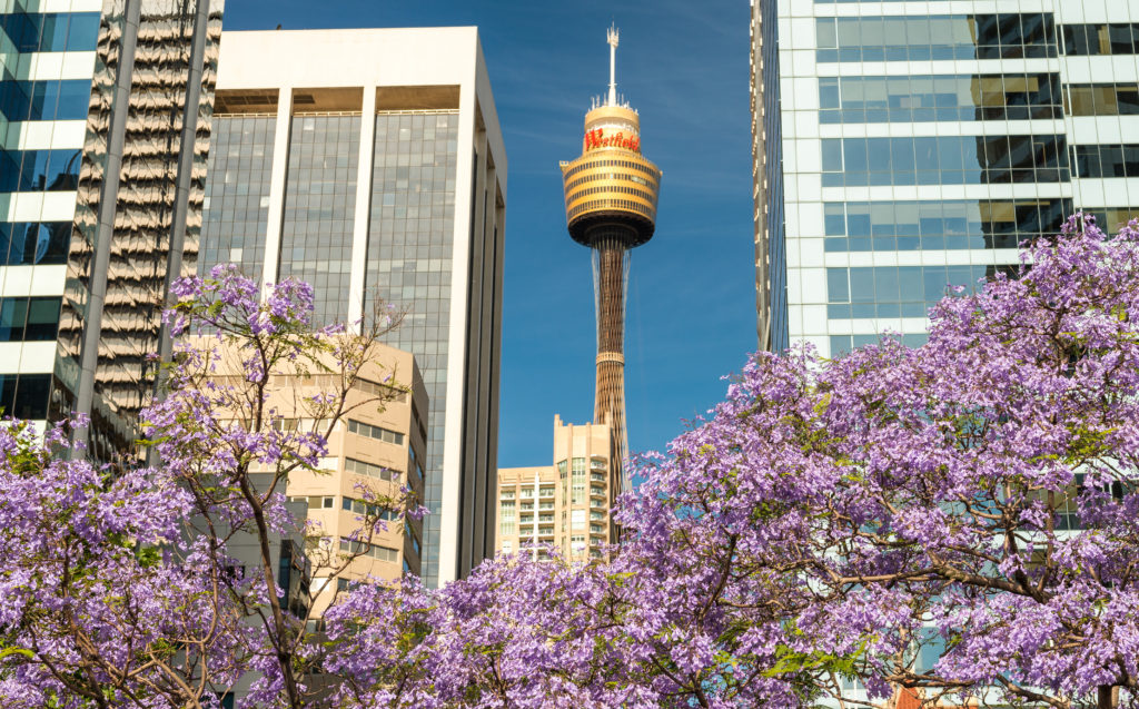 A Couchsurfer’s Guide to… Sydney Couchsurfing Blog