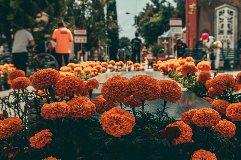roger-ce-uWdauWpVijw-unsplash - Couchsurfing Blog Rows of orange marigolds in the foreground with people walking along a cemetery path in the background